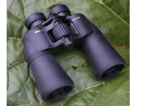 best binoculars for safari viewing