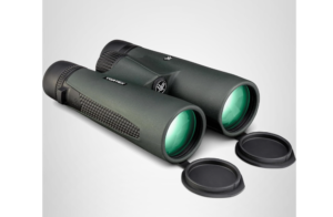 best inexpensive binoculars for whale watching 