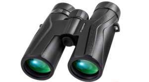 best inexpensive binoculars for whale watching 