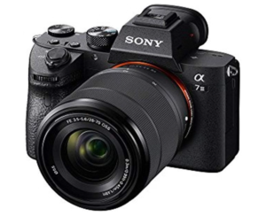 best camera for safari