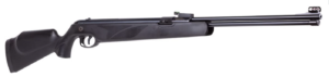 best break barrel air rifle for hunting