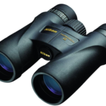 best binoculars for whale watching from shore