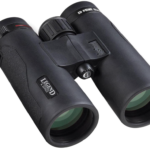 best budget binoculars for whale watching