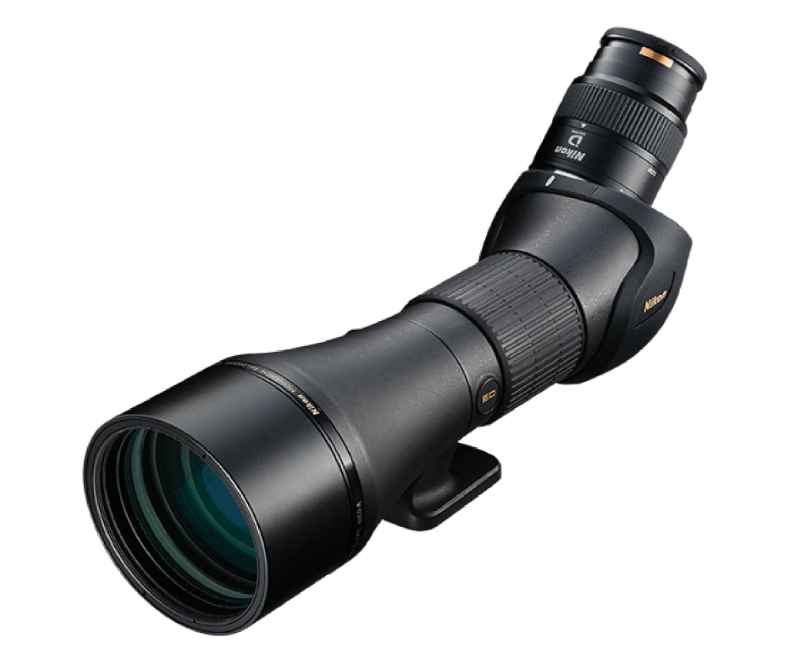 best spotting scope for birding